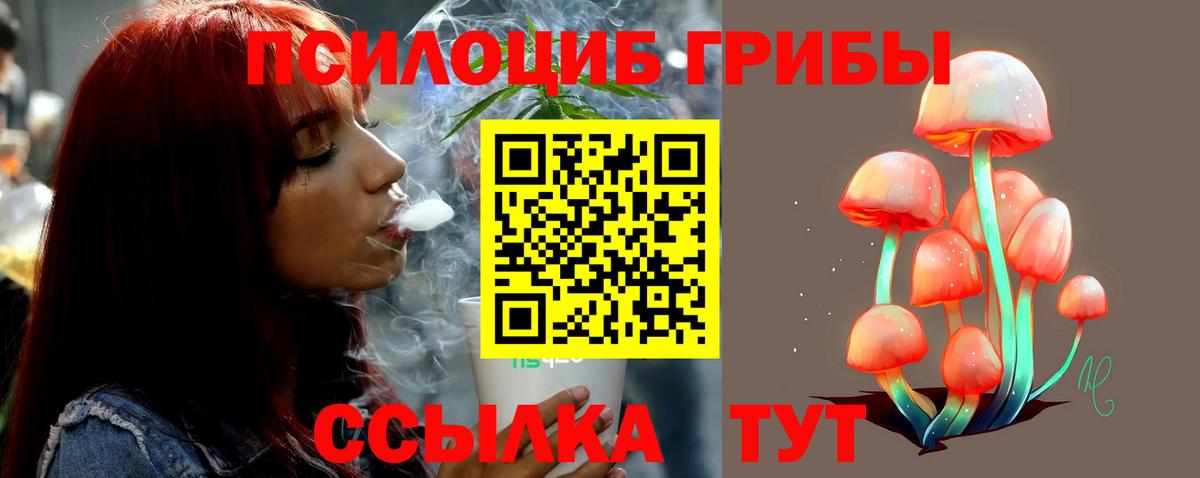 Галлюциногенные грибы Psilocybe  Вход с VPN  Кушва 
